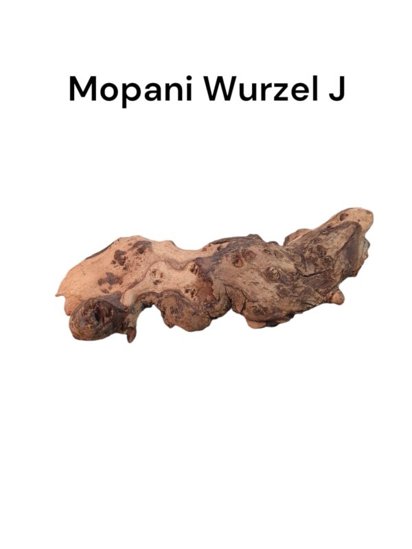 Mopaniwurzel J